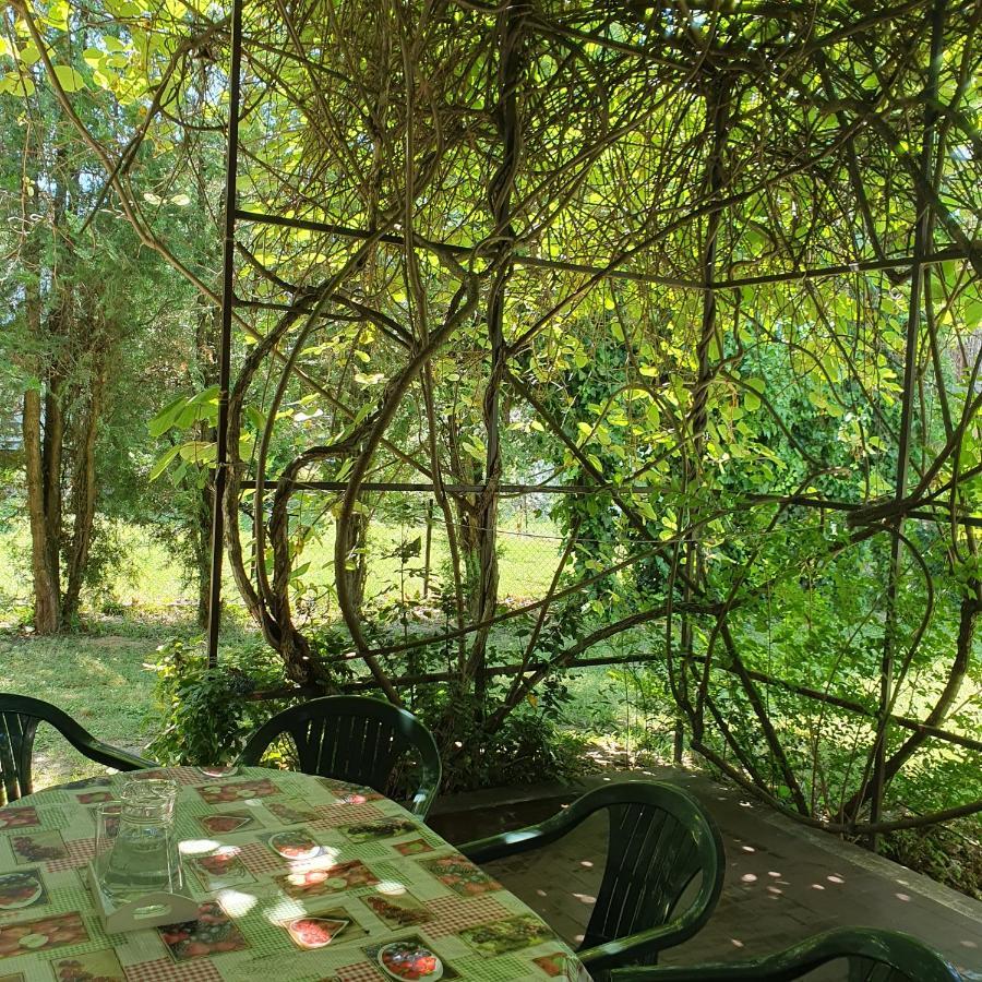 Sophie'S Guesthouse Siofok Luaran gambar